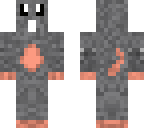a rat