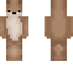 guinea pig