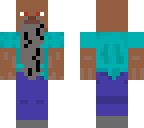 hermit steve