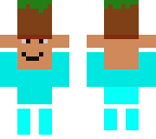 veeque with grass block