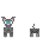 cute gray cat