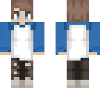 heyimj's skin steve version