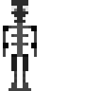 endoskeleton