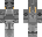 brotherhood of steel  paladin