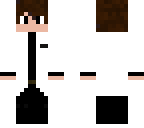 fen lab 2
