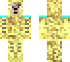 the cat costume