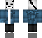 csans v2