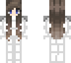 main skin
