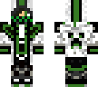 the assasin