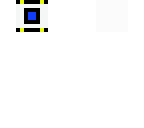 portal custom core skin