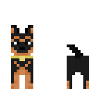 dog for my cousin