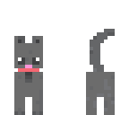 gray kitten
