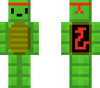 turtle