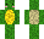 cute turtle