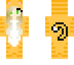 orange cat onesie