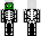 skeleeeee turtle
