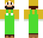 custom luigi