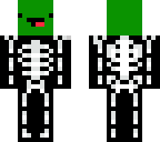 skeeleee turtle v22