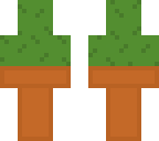 kaktus