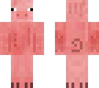 pig
