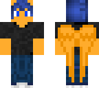 flash sentry