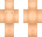 skin template