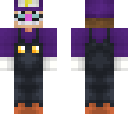 waluigi regular