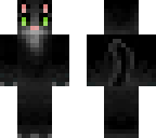 black cat