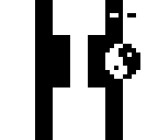 yin yang spirit