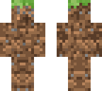 grassdirt