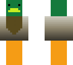 mallard duck