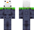 seagul