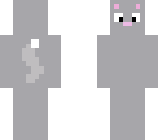 cute cat