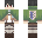 skin for a friend