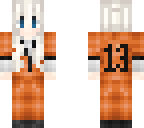 prisoner 13
