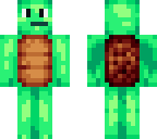 propheturtle483