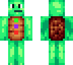propheturtle483