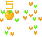 5 oranges