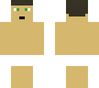 ark survival skin