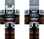 bulletcat2