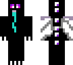 domb ender dragon