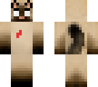 herobrine cat