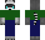 racoon with clothes