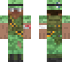 vietnam steve