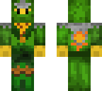 the green ninja