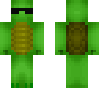 cool turtle