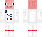 astronaut pig