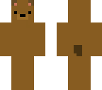 bear