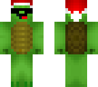 coolsantaturtle
