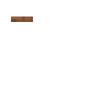 steve rig 3